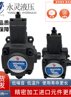 YLC浙江永灵 VP1-20-70 15 12变量叶片泵VP2-30/40-70 55 35油泵