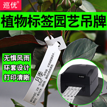 空白可打印园艺标签纸植物吊牌树木挂牌苗木花卉防水标牌塑料标识牌PVC标示记号环套定制室外环形扣吊卡条码