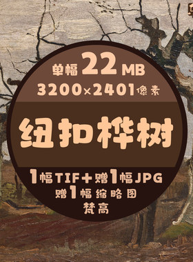 纽扣桦树油画超高清图梵高单幅作品临摹素材印刷手机电脑电视壁纸