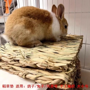 宠物草垫防潮隔板草垫铺地稻草毯装饰草窝草垫防冻草席卢丁鸡草垫