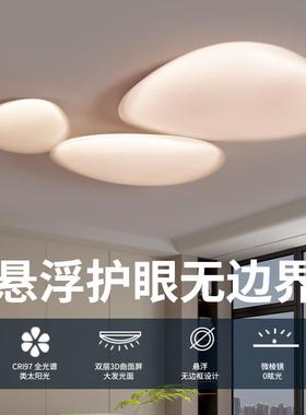 The living room main lamp, the modern Conservatory Designer