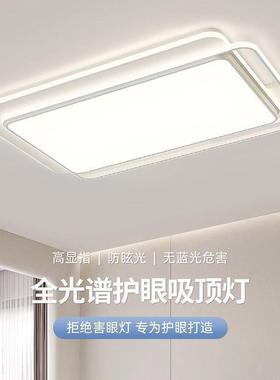 The living room lights are modern and simple, and the bedroo