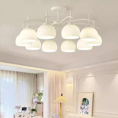 The living room chandelier was new in 2024. Its about a whi