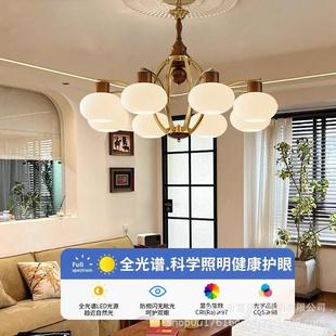 room living style chandelier. French