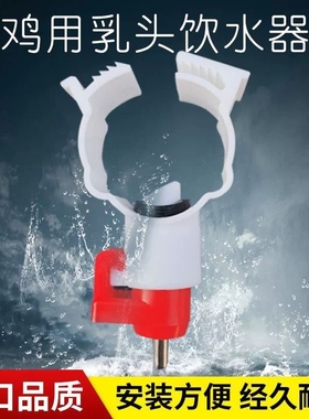 鸡用饮水器自动饮水器小鸡乳头卡式钢球饮水器球阀饮水器卡子饮水