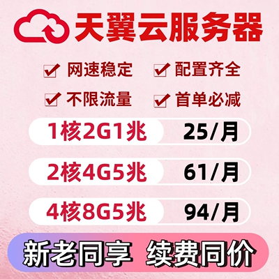 天翼云服务器云主机搭建独立ip用