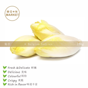 VGBB 菊苣 Belgium Endives 250g 白玉兰菜 新鲜白菊苣