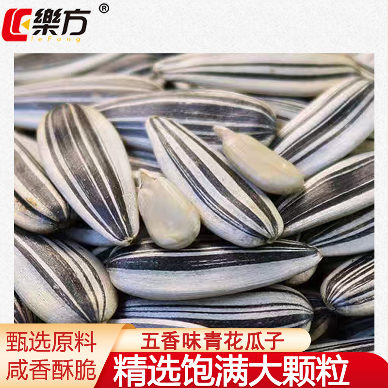 乐方新货青花瓜子大颗粒五香味