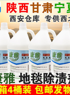 康雅整箱四桶强效去污汽车除渍剂