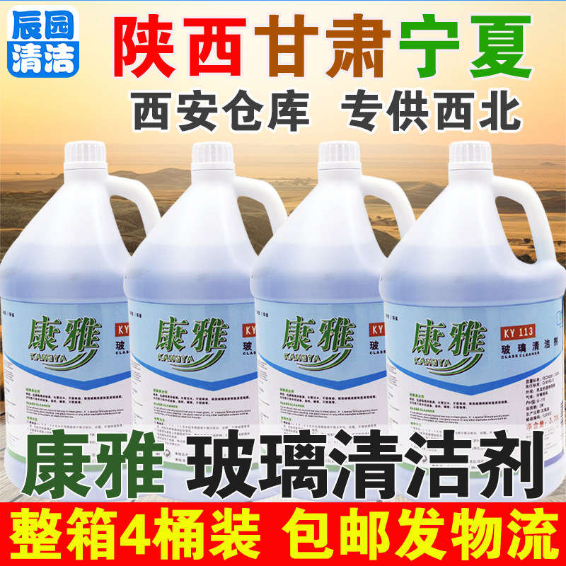 康雅整箱除水垢家用汽车清洗剂