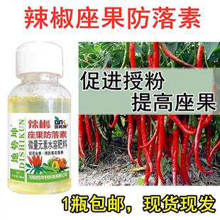 辣椒坐果灵座果药保花保果防落果免沾花防落素开花不结果座果灵剂