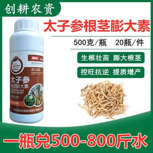 太子参膨大素太子参膨大剂叶面肥地下猛长素叶面肥生根壮苗肥