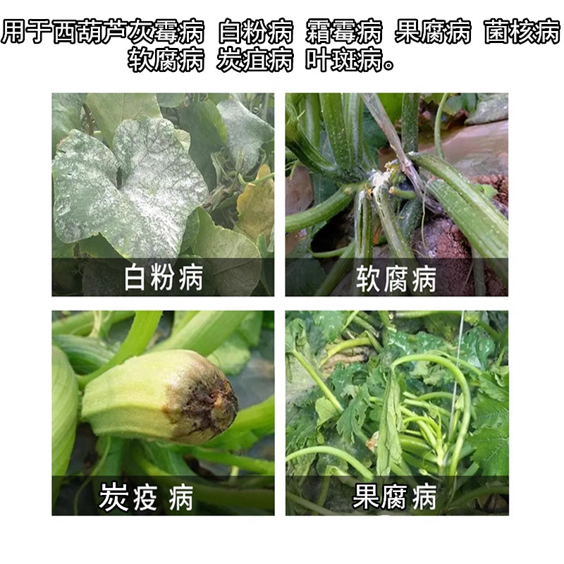 西葫芦病毒病 专用药 菌立清 杀菌剂 病菌清杀菌药叶枯病 授粉药