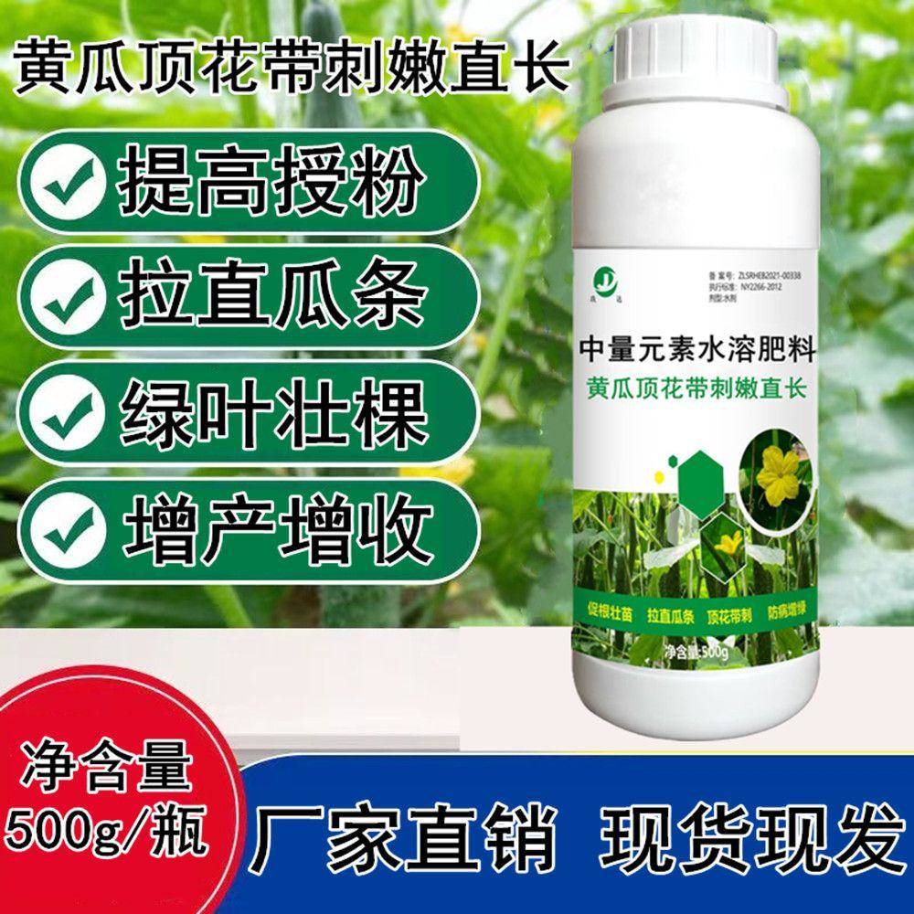 黄瓜叶面肥料拉长拉直素膨果增粗生根剂冲施肥黄瓜宝专用药金满座