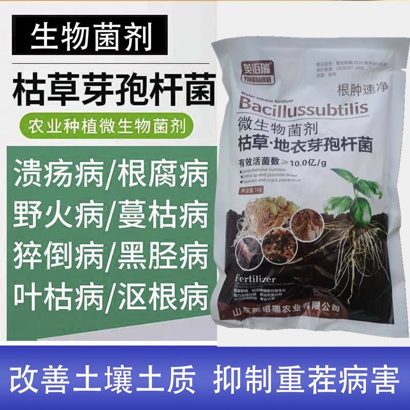 枯草芽孢菌杆菌农用哈茨木霉菌微生物菌剂蔬菜果树专用菌肥冲施肥
