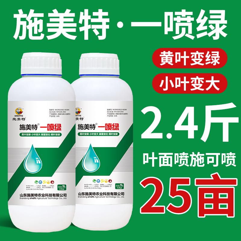 施美特一喷绿叶面肥绿叶提苗黄叶僵苗一喷绿微量元素氨基酸水溶肥