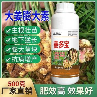 大姜生姜专用肥生根壮苗膨大素抗病壮苗氨基酸肥料膨大剂叶面肥料