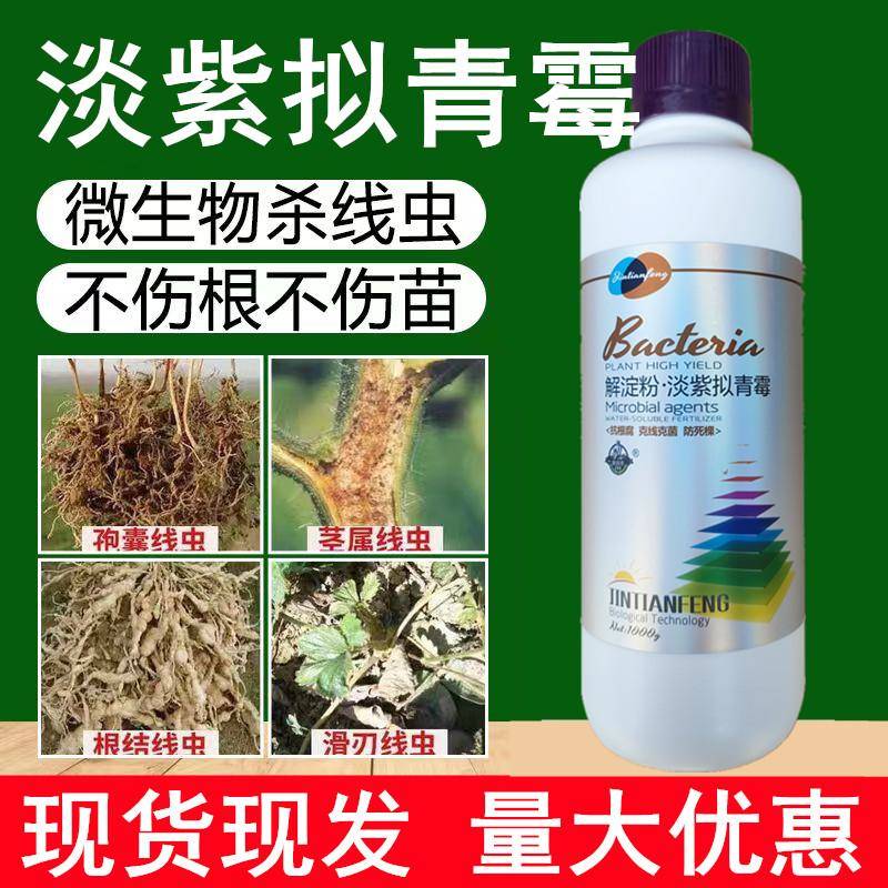 根线灵淡紫拟青霉淡紫紫孢菌滴灌根防结线虫茎线虫孢囊线虫根线清