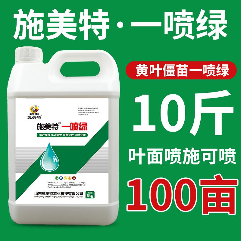 施美特一喷绿叶面肥绿叶提苗黄叶一喷绿微量元素氨基酸水溶肥5KG