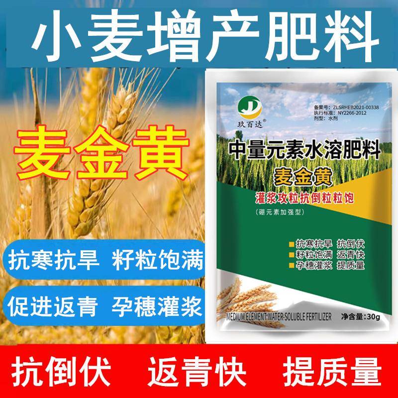 麦黄金水溶肥小麦专用肥料促进分蘖抗倒伏灌浆籽粒饱满增产叶面肥