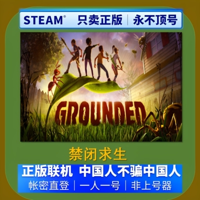 禁闭求生Steam联机租号