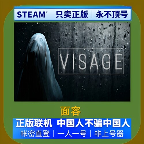 steam正版 面容VISAGE 游戏租号 账密登录不顶号 单人游戏在线玩