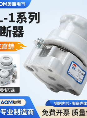 螺旋式熔断器RL1-60熔断体15A100A200A底座熔芯机床保险丝管6A30A