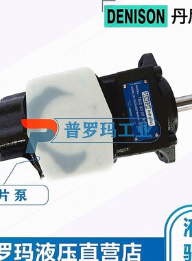 DENISON丹尼逊叶片泵T7BS E15 R AMO伺服泵液压泵高压叶片油泵