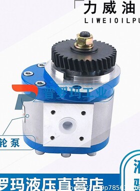合肥力威 QC20/15-WP6J 汽车油泵 合肥天力方向动力泵转向泵