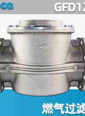 GFD125 | DN125 燃气过滤器 GECA/集咖 承压6bar【意大利】