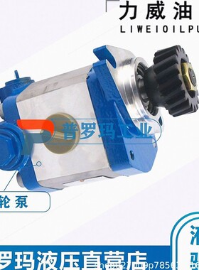 合肥力威 QC20/15-WP6J 汽车油泵 合肥天力方向动力泵转向泵