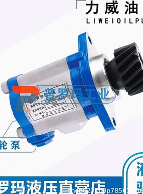合肥力威 QC20/15-WP6J 汽车油泵 合肥天力方向动力泵转向泵
