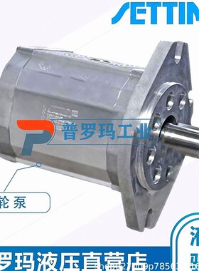 意大利SETTIMA 赛特玛螺杆泵GR33C010F2AC4-F2BK7AG-FSAEAAC-FSA