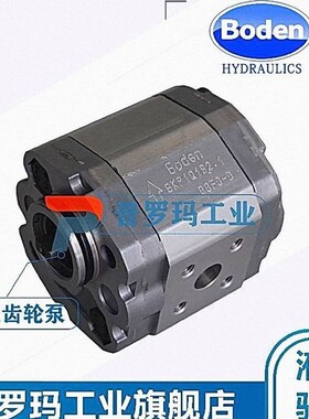 台湾Boden泵BKP1Q0S6.0GONO-B-V 2.1 2.7 3.2 3.7 4.2 4.8GOLO-B
