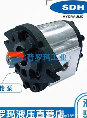 SDH齿轮泵液压油泵CBD2-F520 CBD2-F522 CBD2-F526 CBD2-F570