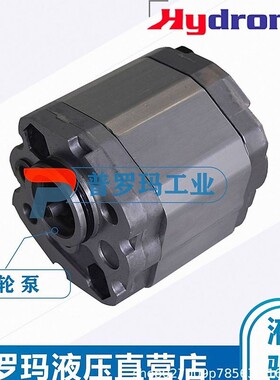 意大利Hydronit齿轮泵小型液压动力单元微型油泵E60604006 3.2CC