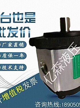 罗茨RONZIO液压齿轮泵02ZCG06L434D/02ZAG04E032D/02ZCG17N435D0N