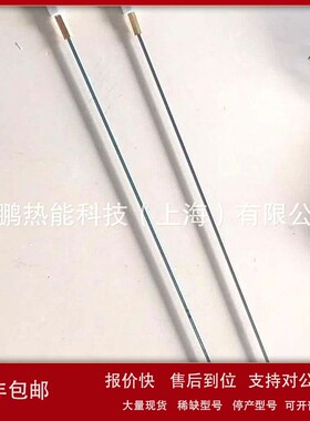 议价TBL45PTBG45PV燃烧器点火电极/火花塞意大利Baltur百得技术支