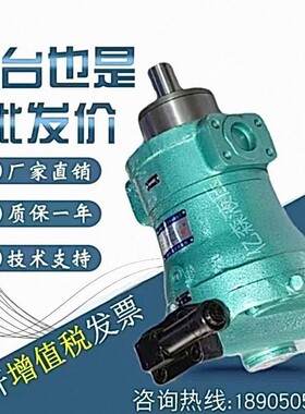 启东轴向柱塞泵YCY14-1B-10/16/25/40/63/80/100/160/250/400
