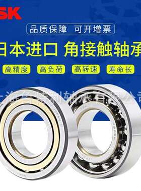 日本NSK角接触轴承7307 7308 7309 7310 7311 7312 7313A AC AW B
