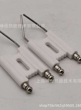 BALTUR/百得燃烧器点火电极