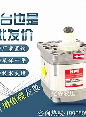 法国HPI齿轮油泵P3BAN3020/3025/3031/3040/3050/3060/3071/3080