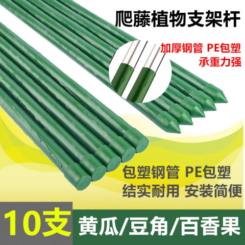 包塑钢管爬藤植物支架户外阳台葡萄黄瓜豆角百香果园艺藤蔓支撑杆