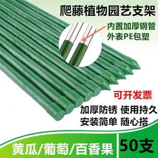 包塑钢管爬藤植物支架葡萄黄瓜豆角百香果月季室外庭院园艺支撑杆