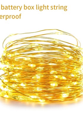 Battery Festoon Outdoor Christmas Lights  Led String Light