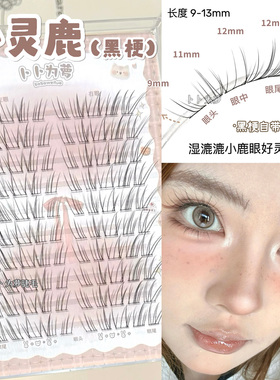 湿漉漉小鹿眼谁懂！小灵鹿假睫毛自然妈生款狐系仿真超软灵动斜飞