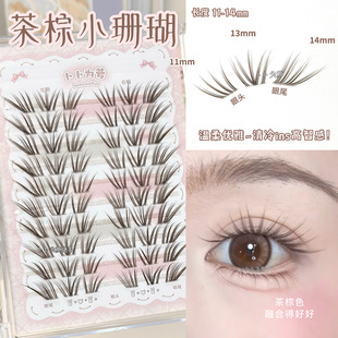 温柔高智ins风！茶棕色小珊瑚假睫毛自然清冷韩系女团上镜放射状