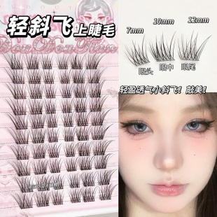 清透轻斜飞 狐系超自然假睫毛女仿真韩系女团太阳花单簇分段式