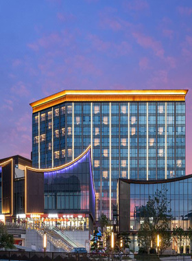 浙江金华磐安宝龙艺珺酒店1晚休闲套餐| 含早