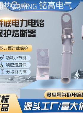 BRW-10KV-12KV/15A16A17A18A19A20A21A22A23A24A25A 高压熔断器